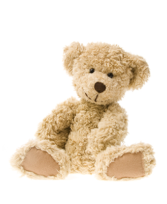 Teddy Bear Symbolizing Surrogacy in Canada